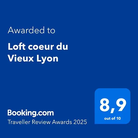 Apartment Loft Coeur Du Vieux Lyon